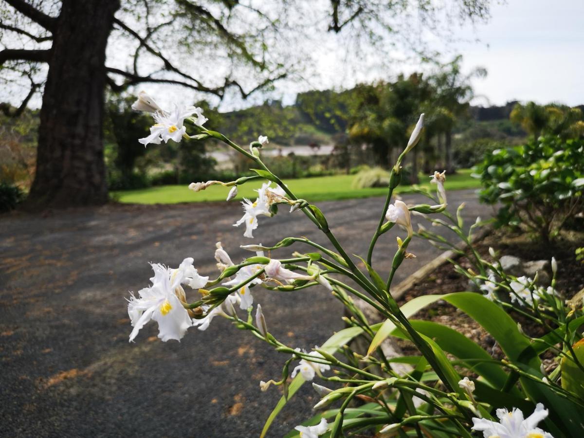 River Side Lodge Whakamarama Buitenkant foto