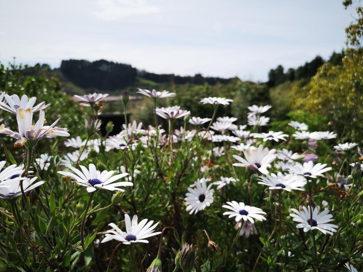 River Side Lodge Whakamarama Buitenkant foto
