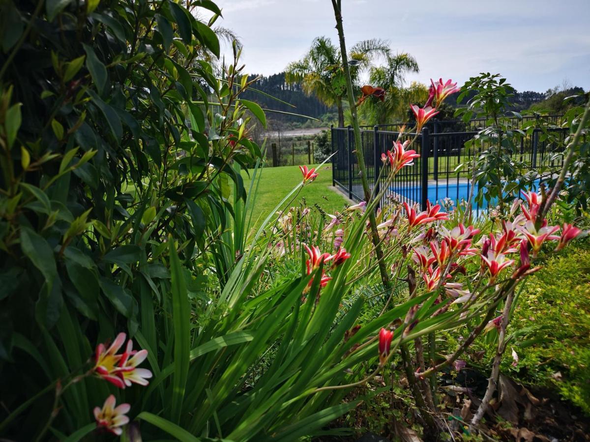 River Side Lodge Whakamarama Buitenkant foto