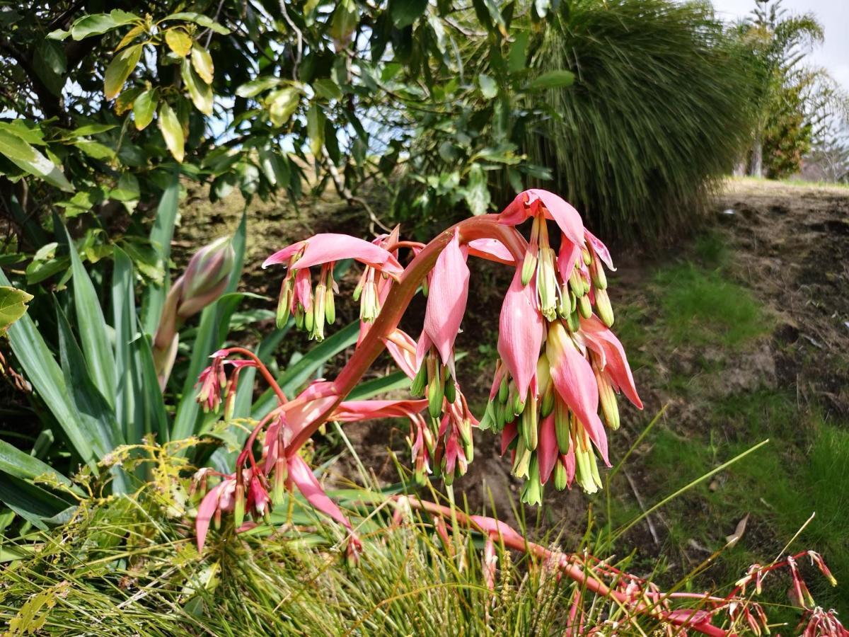 River Side Lodge Whakamarama Buitenkant foto