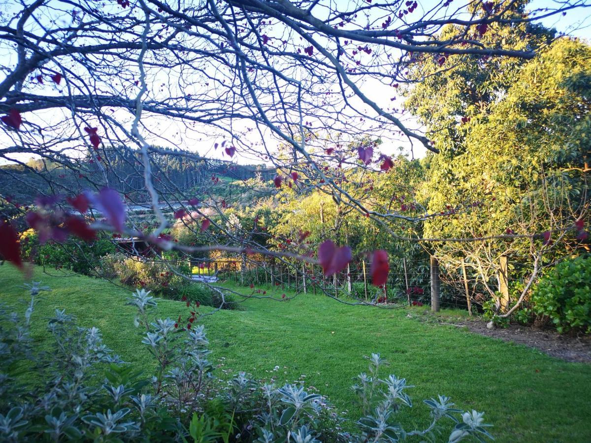 River Side Lodge Whakamarama Buitenkant foto